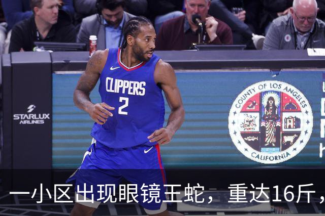 一小区出现眼镜王蛇，重达16斤，就在居民窗外游走，消防：是世界上体型最大的前沟牙毒蛇