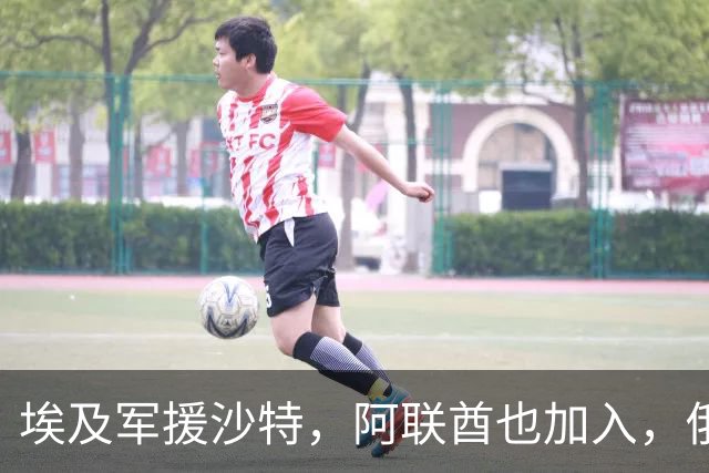 埃及军援沙特，阿联酋也加入，俄外长访问伊朗，特朗普即将动手？