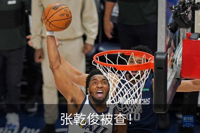 张乾俊被查！