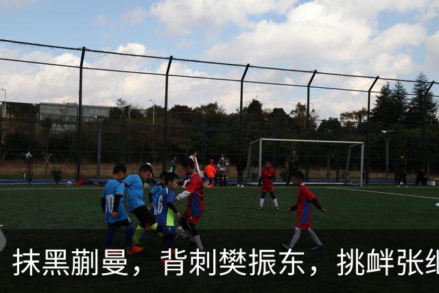 抹黑蒯曼，背刺樊振东，挑衅张继科，国乒男队“搅屎棍”被揪出