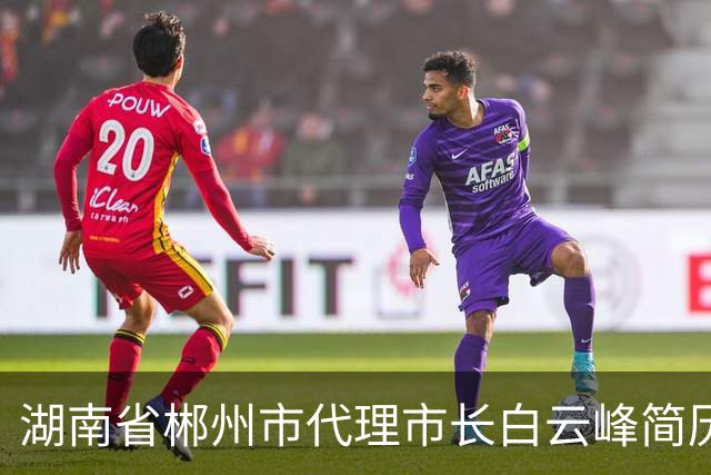 湖南省郴州市代理市长白云峰简历