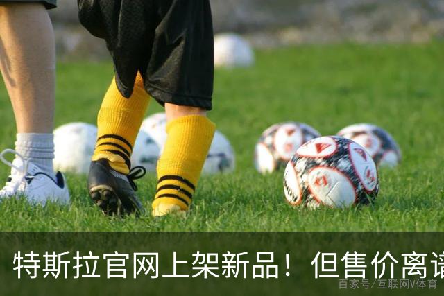 特斯拉官网上架新品！但售价离谱