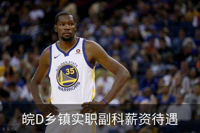 皖D乡镇实职副科薪资待遇