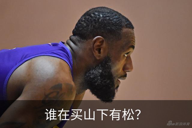 谁在买山下有松？