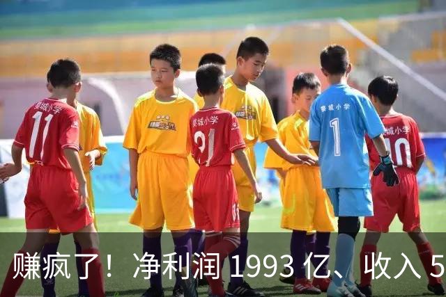 赚疯了！净利润 1993 亿、收入 5241 亿