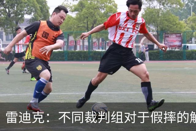 雷迪克：不同裁判组对于假摔的解读大相径庭 身体接触不是重点