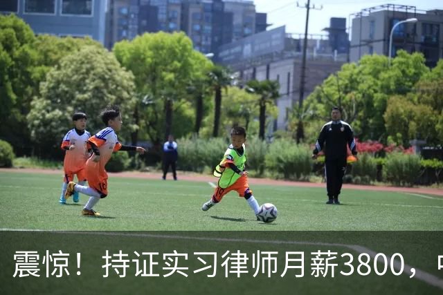 震惊！持证实习律师月薪3800，中南财大校招岗位待遇引争议，网友：有工资就不错了，大多数是缴费实习